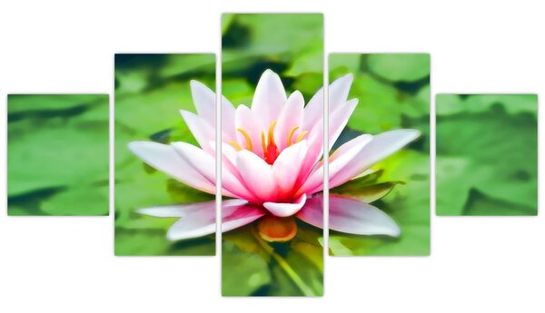Obraz leknínu na hladině (125x70 cm)