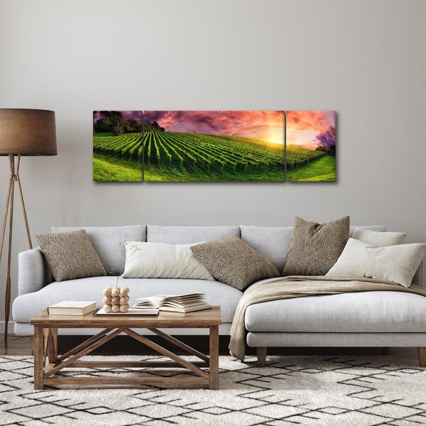 Obraz vinohradu s barevným nebem (170x50 cm)