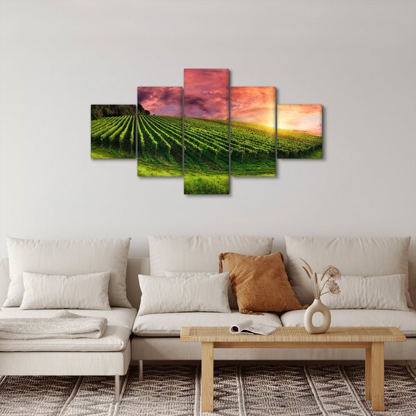 Obraz vinohradu s barevným nebem (125x70 cm)
