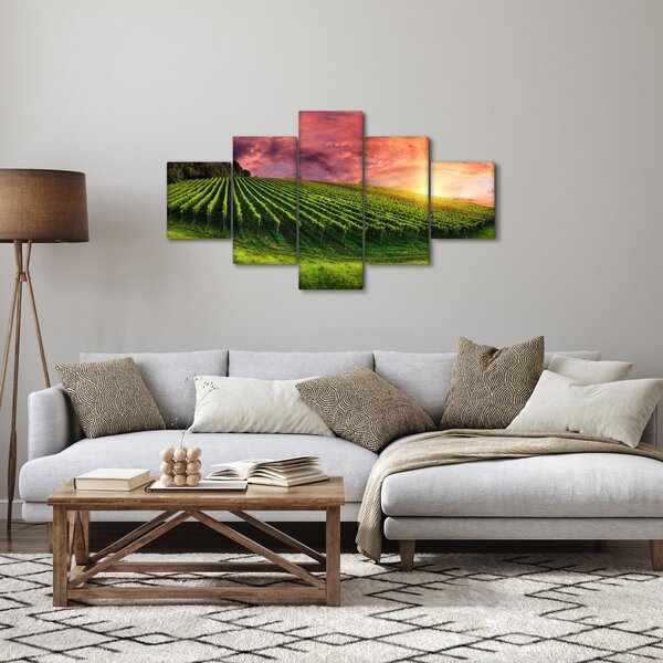 Obraz vinohradu s barevným nebem (125x70 cm)