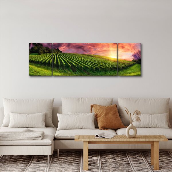 Obraz vinohradu s barevným nebem (170x50 cm)