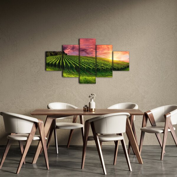 Obraz vinohradu s barevným nebem (125x70 cm)