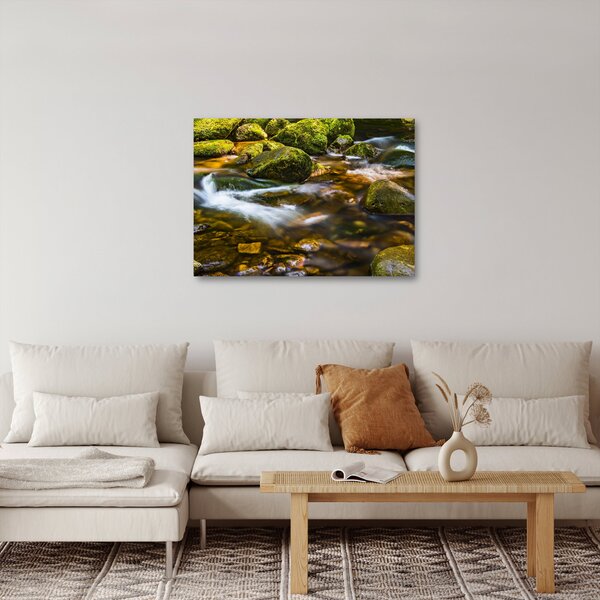 Obraz potůčku (70x50 cm)