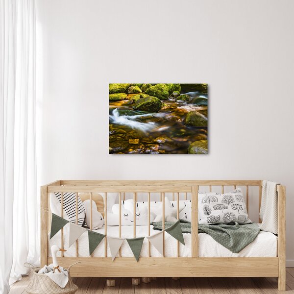 Obraz potůčku (70x50 cm)