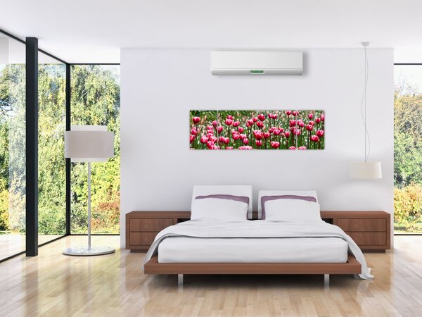 Obraz tulipánů (170x50 cm)