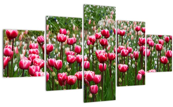 Obraz tulipánů (125x70 cm)