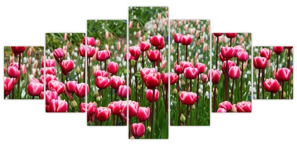 Obraz tulipánů (210x100 cm)