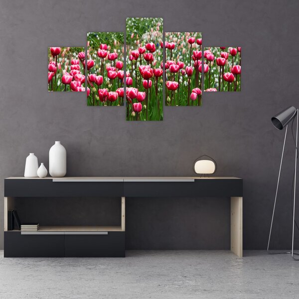 Obraz tulipánů (125x70 cm)