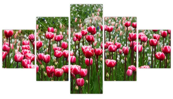 Obraz tulipánů (125x70 cm)