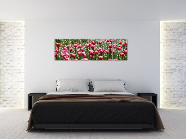 Obraz tulipánů (170x50 cm)