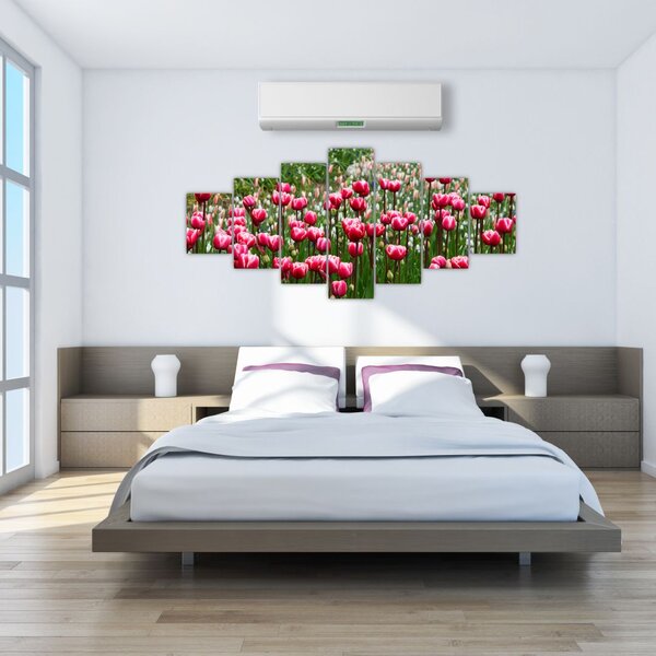 Obraz tulipánů (210x100 cm)