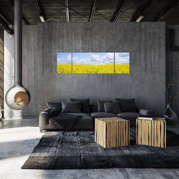 Obraz žlutého pole (170x50 cm)