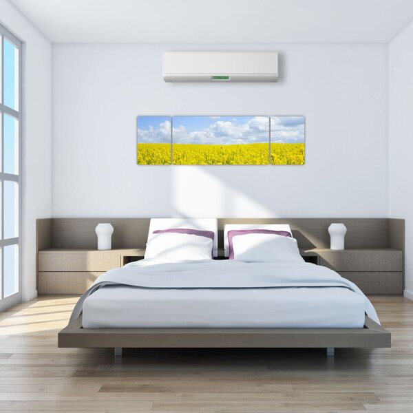 Obraz žlutého pole (170x50 cm)