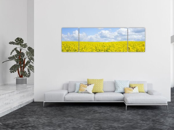 Obraz žlutého pole (170x50 cm)