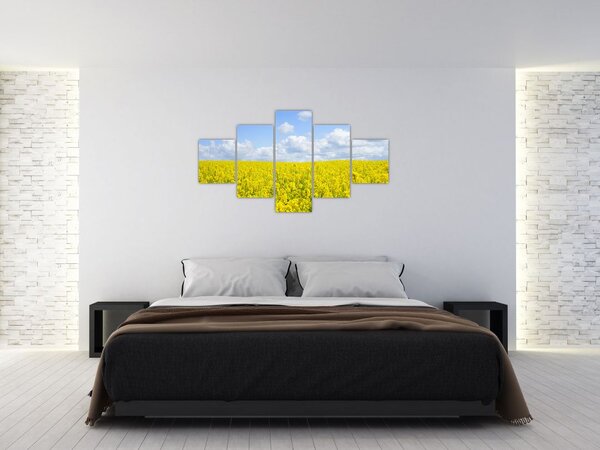 Obraz žlutého pole (125x70 cm)
