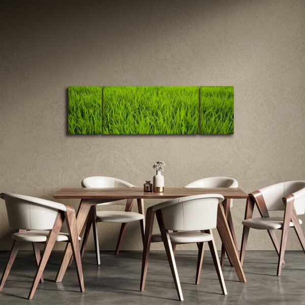 Obraz trávy (170x50 cm)