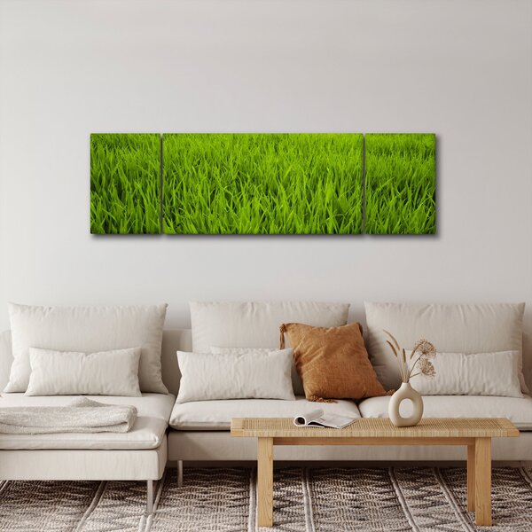 Obraz trávy (170x50 cm)