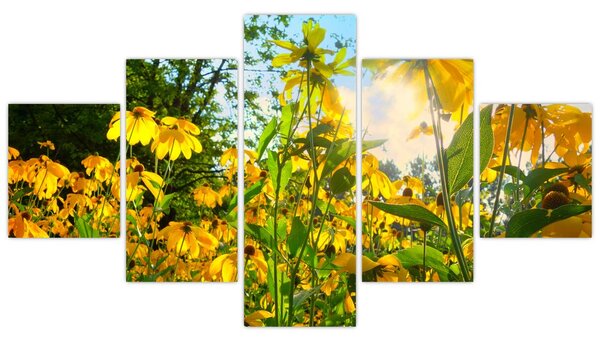 Obraz žlutých květin (125x70 cm)