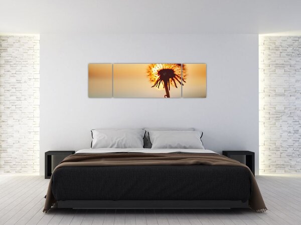 Obraz Pampelišky v západu slunce (170x50 cm)