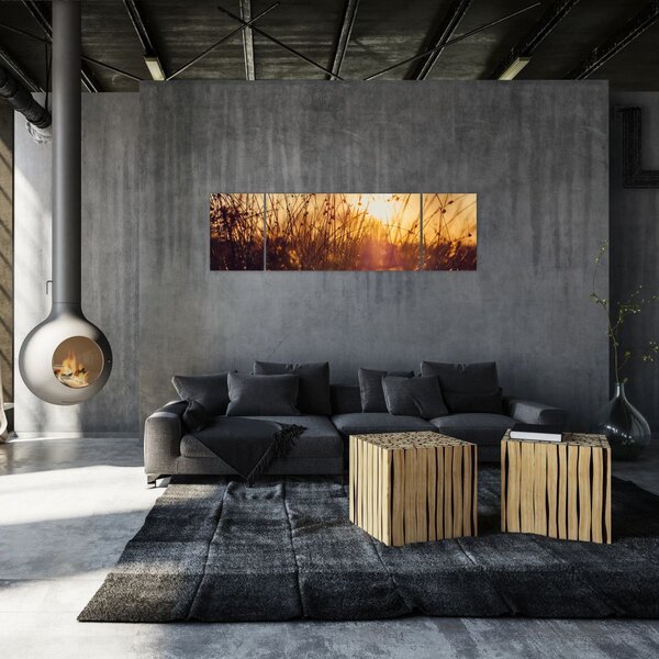 Obraz pole při západu slunce (170x50 cm)