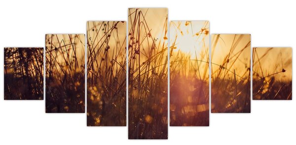 Obraz pole při západu slunce (210x100 cm)