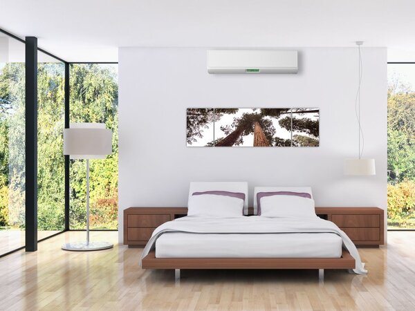 Obraz - Pohled skrz koruny stromů (170x50 cm)