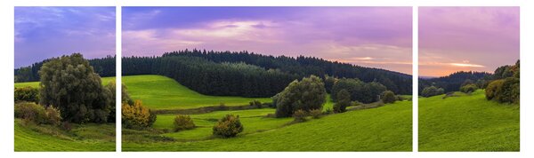 Obraz louky (170x50 cm)