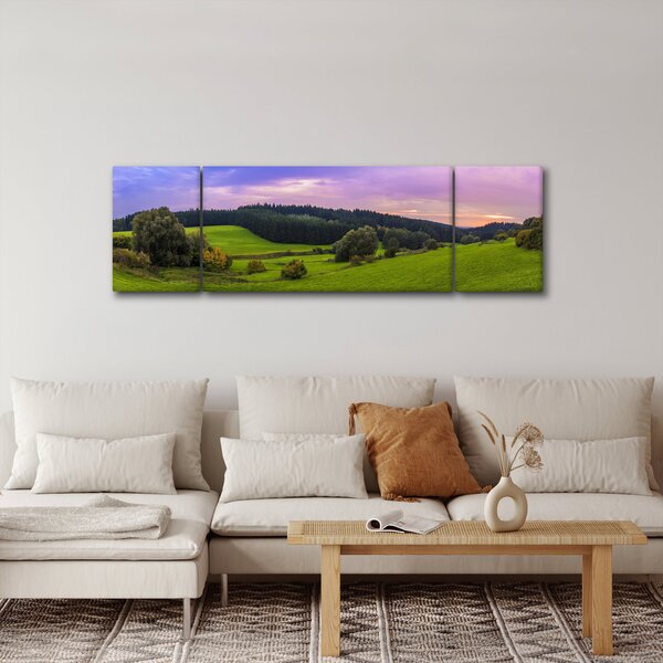 Obraz louky (170x50 cm)