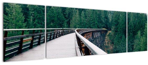 Obraz - Most k vrcholkům stromů (170x50 cm)