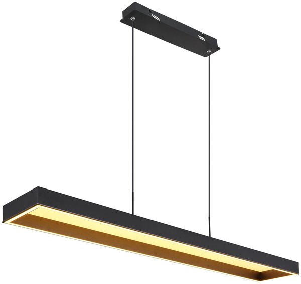 Globo Lighting Sola závěsné svítidlo 1x70 W černá 15643
