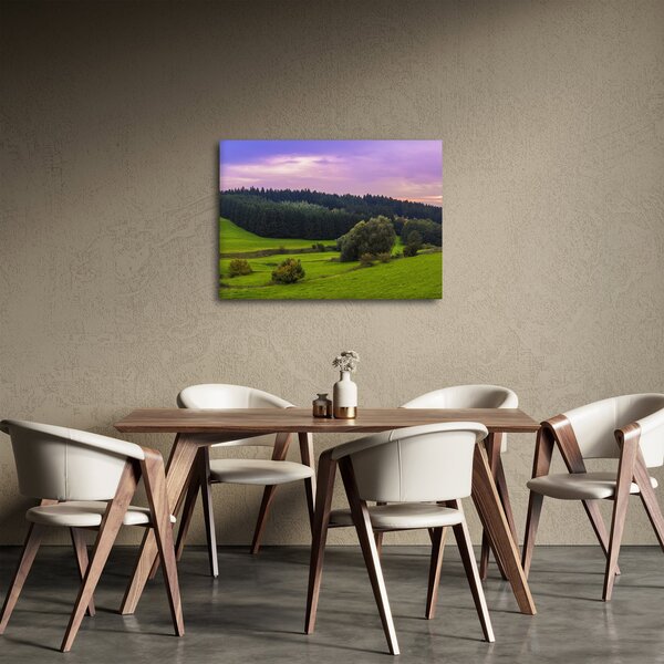 Obraz louky (70x50 cm)