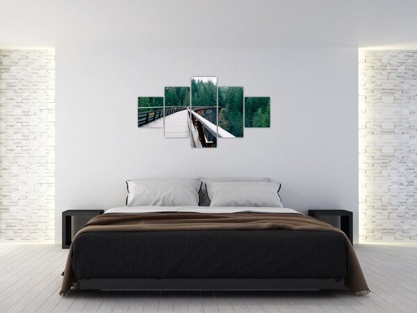 Obraz - Most k vrcholkům stromů (125x70 cm)
