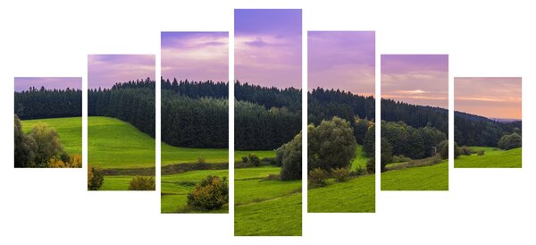Obraz louky (210x100 cm)