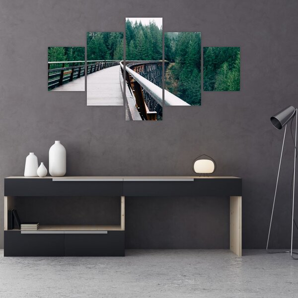 Obraz - Most k vrcholkům stromů (125x70 cm)