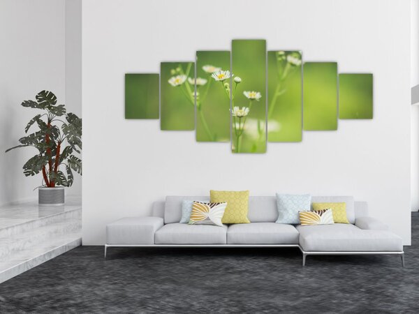 Obraz Sedmikrásky (210x100 cm)