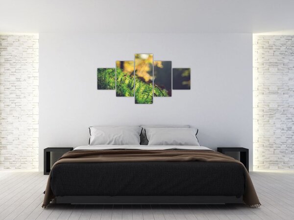 Obraz mechu s houbou (125x70 cm)