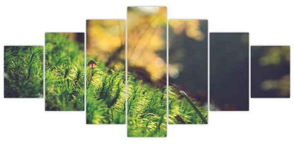 Obraz mechu s houbou (210x100 cm)