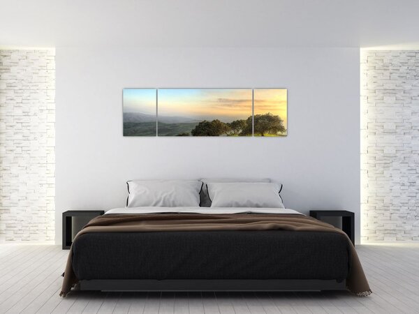 Obraz - Výhled z kopce (170x50 cm)