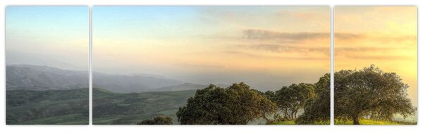 Obraz - Výhled z kopce (170x50 cm)