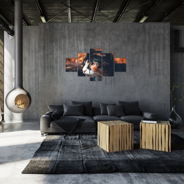 Obraz - Pohled kočky (125x70 cm)