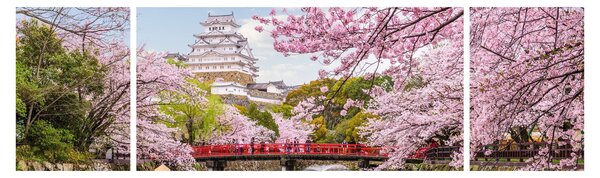 Obraz japonské třešně (170x50 cm)