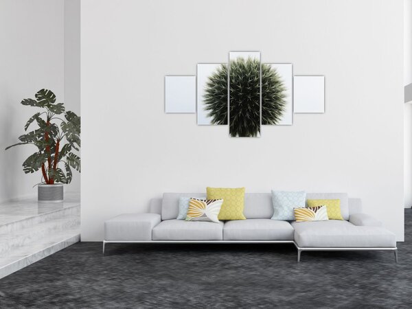 Obraz květinové koule (125x70 cm)