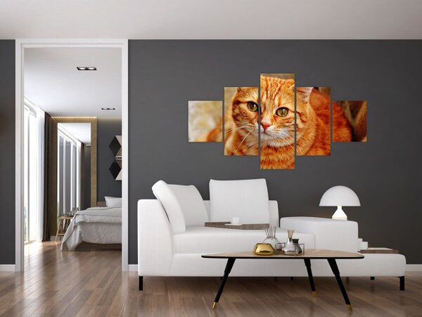 Obraz ležící kočky (125x70 cm)