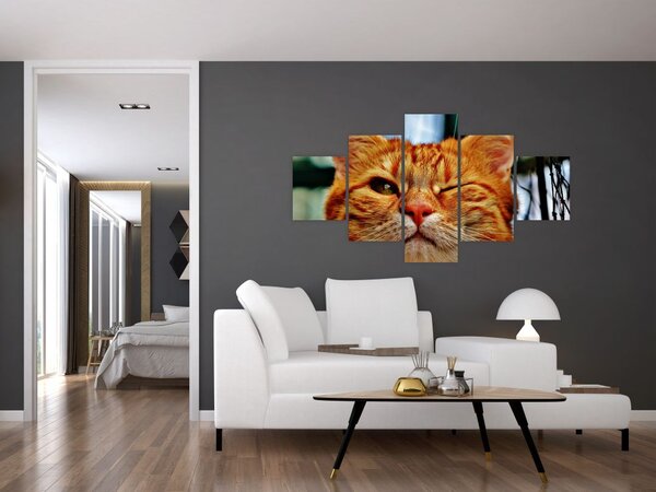 Obraz mrkající kočky (125x70 cm)