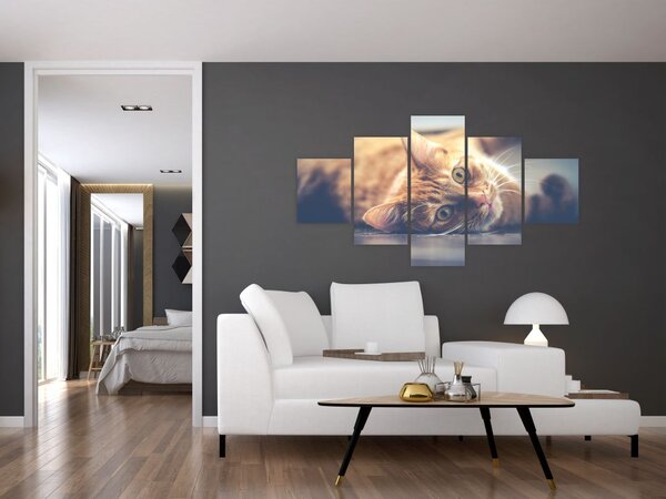 Obraz kočky na podlaze (125x70 cm)