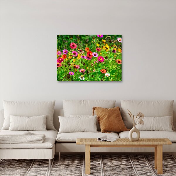 Obraz lučního kvítí (70x50 cm)
