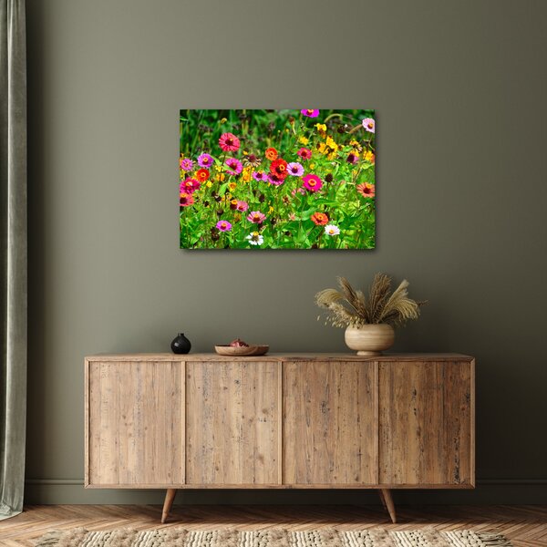 Obraz lučního kvítí (70x50 cm)