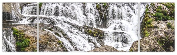 Obraz - Peřeje (170x50 cm)