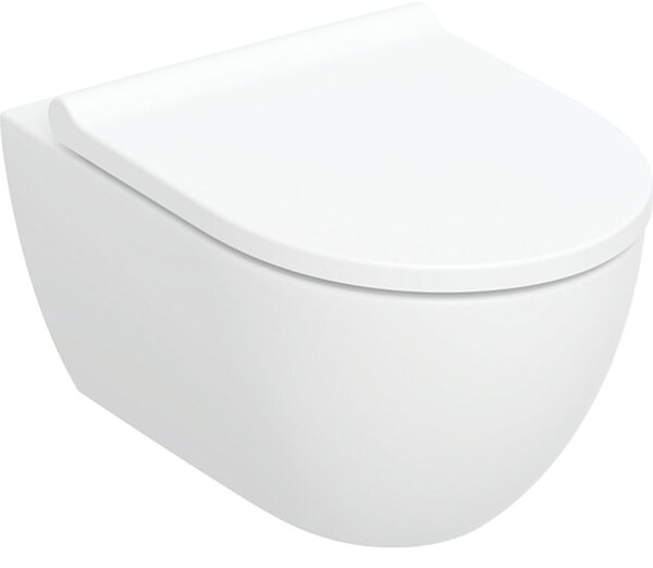 Geberit Acanto wc mísa se sedátkem s pomalým sklápěním závěsná bez splachovacího kruhu s vírovým splachováním bílá lesk 502.774.00.1