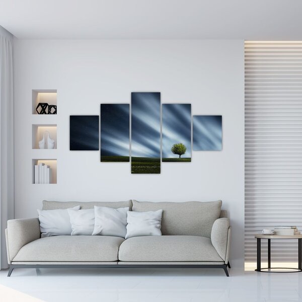 Obraz polární záře nad vřesovištěm (125x70 cm)